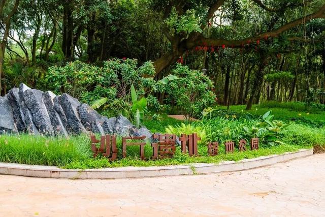 珠海5000年沙丘遗址秘境，免费开放！