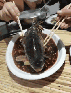 “姑娘，不是什么照片都能随便发的！”哈哈哈亮点都看到了！