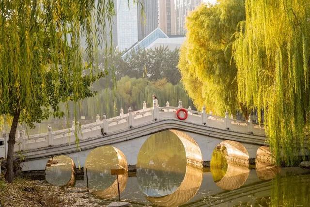 快来打卡！石家庄109座公园广场同步推出……