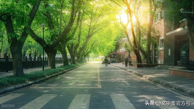 建议收藏：下次旅行配图文案，直接来这里抄！