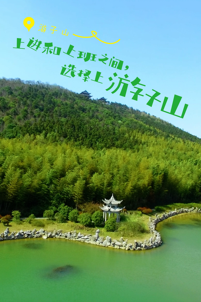 任何人错过秋天的高淳，我都会伤心的