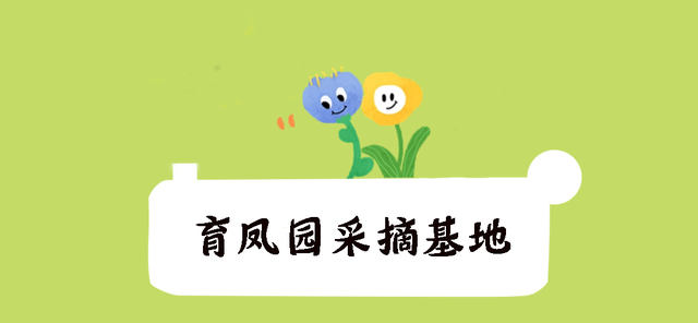 暑假过半还没玩？济南这个神仙地儿现在去刚刚好！