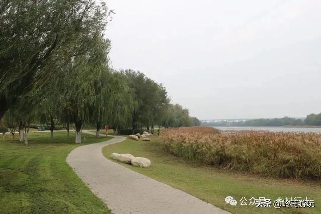 全部免费！渭河南河堤路赏秋攻略大全，那风景简直美爆了！
