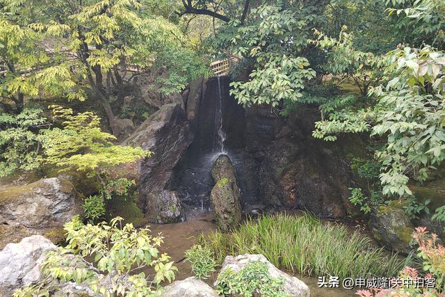 日本京都：走进鹿苑寺（金阁寺）