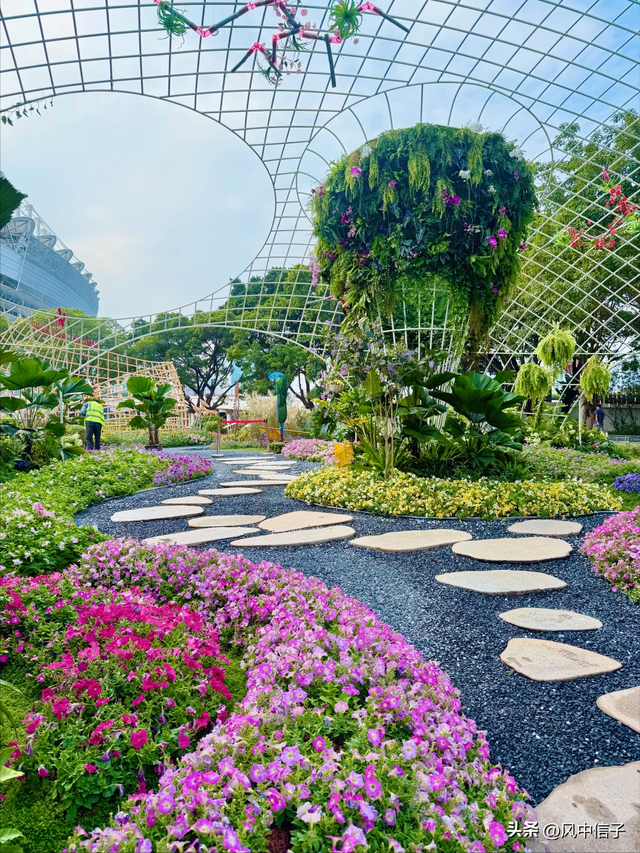 这个周末不如带娃去逛逛这里的花花