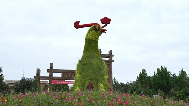 【白银文旅】在白银邂逅黄河之美！荷塘寻幽、花海打卡、露营观星，这份文旅攻略请收好