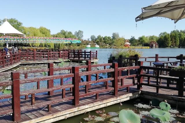 北京顺义国际鲜花港 梦幻的花海秘境