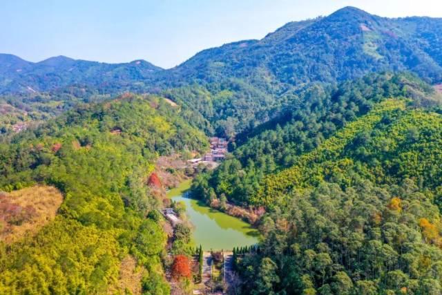 免票、打折……肇庆超多福利来袭！速看→