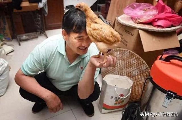 大衣哥女儿订婚，对女婿评价只有三个字 太老谋深算 陈亚男肠子悔青