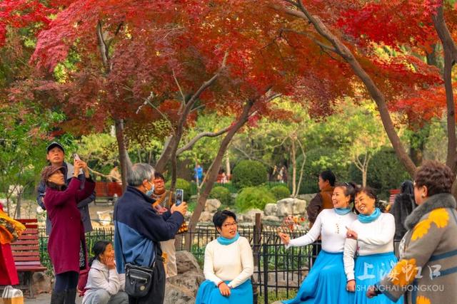 鲁迅公园枫叶红了！红黄青绿交织秋意浓~超出片