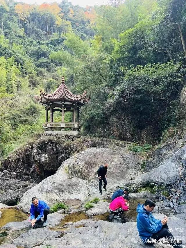 约吗？温州此处枫叶已渐红，这周末将进入赏红叶佳期！