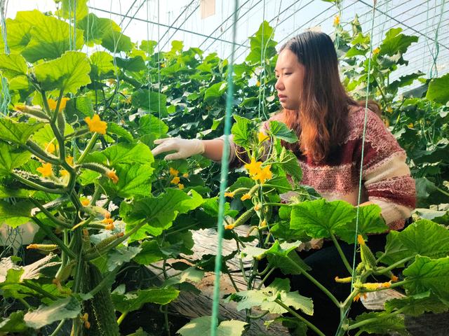 刷屏预警！江苏百咖齐聚千年古县-淮阴，竟被这些“宝藏”圈粉