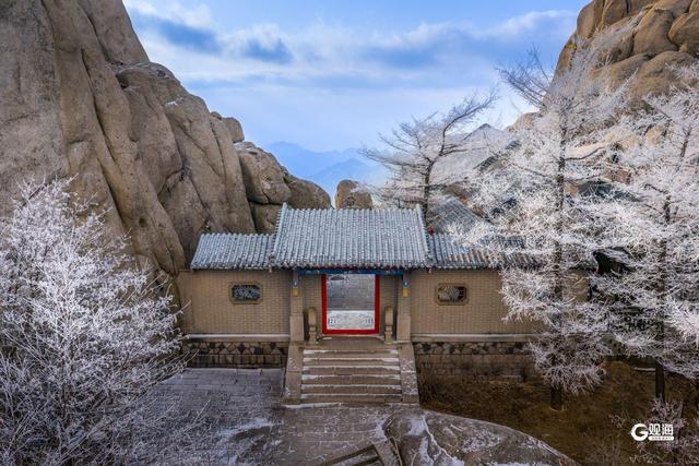 崂山迎来雾凇：石与松的素色禅意