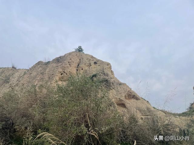 呼和浩特市托克托县田野考察笔记
