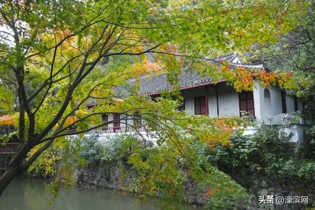 秋色“进度条”加载中，狼山森林公园赏秋点等你来打卡→