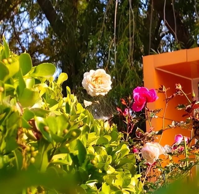 七里河畔晨光好 文明城市气象新