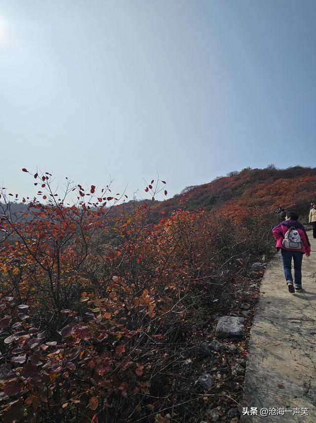 看万山红遍，层林尽染，只是孤影只单，一起相约打卡如何？