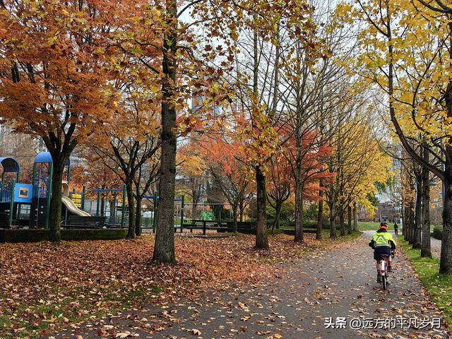 温哥华游记（六）