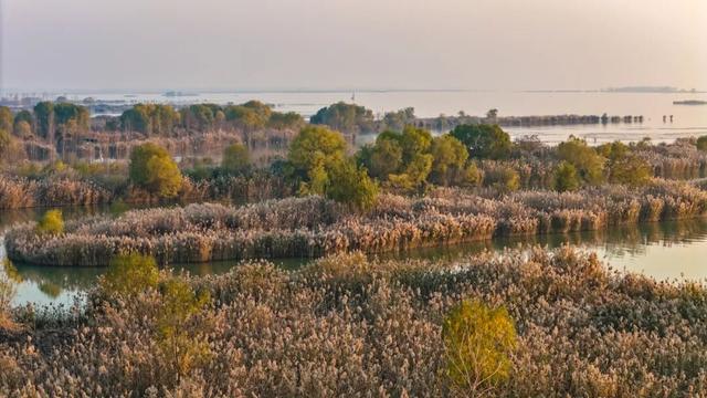 初冬东平湖，最是诗意时