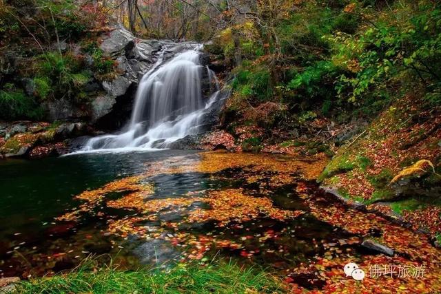 秋假冲鸭!佛坪“秋日乌托邦”,承包你的假日松弛感→