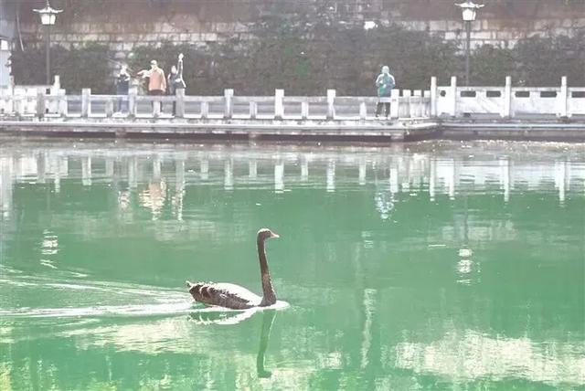 五彩南明！这几种颜色，藏着你不知道的诗意与浪漫