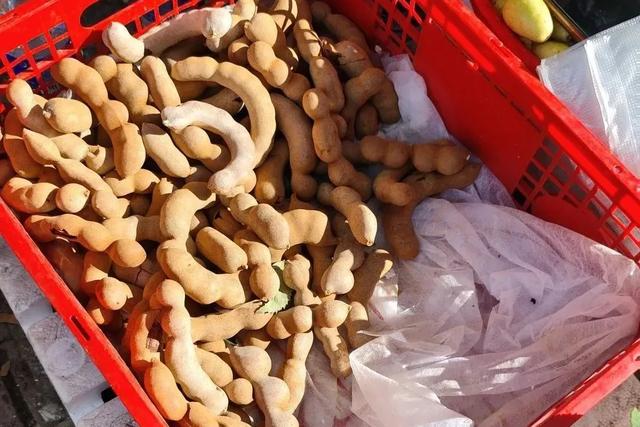 这个大集火爆出圈!