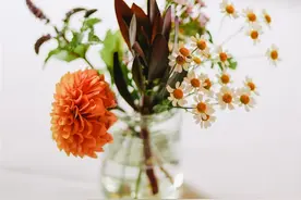 2013年，湖南23岁女孩嫁68岁老人，婚后生下一子，如今丈夫……图片