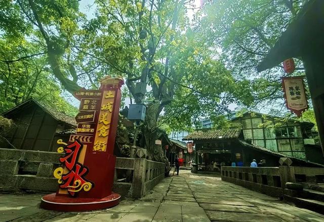 乡游黔中 · 习水县 小獐村丨此间风起,吹散人间三伏天