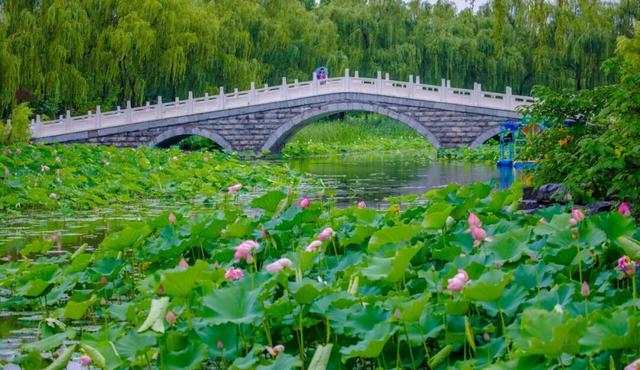 《济南中医药文化旅游》地图出炉！30个中医药文化宝藏地别错过！