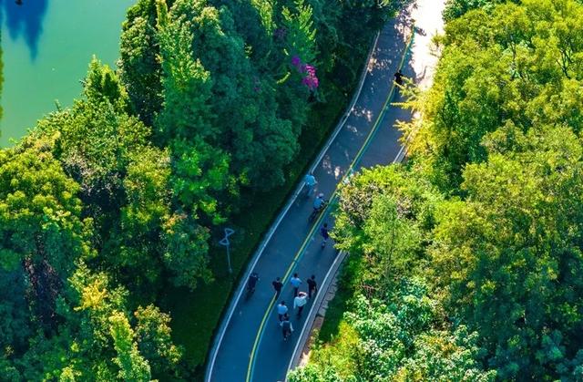 人民网关注：滇池绿道串起生态美景 群众乐享湖光山色
