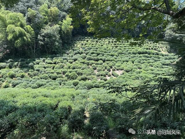 杭州印象·灵隐飞来峰