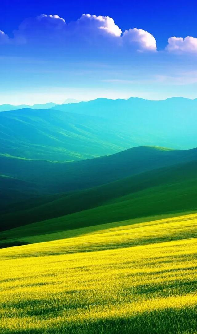 美图美景 #欣赏也是一种享受 #草原风光