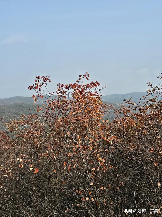 踏遍青山，风景独好，看万山红遍，层林尽染，请尽情欣赏吧