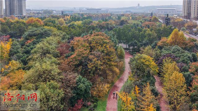 兴洛湖公园景如画