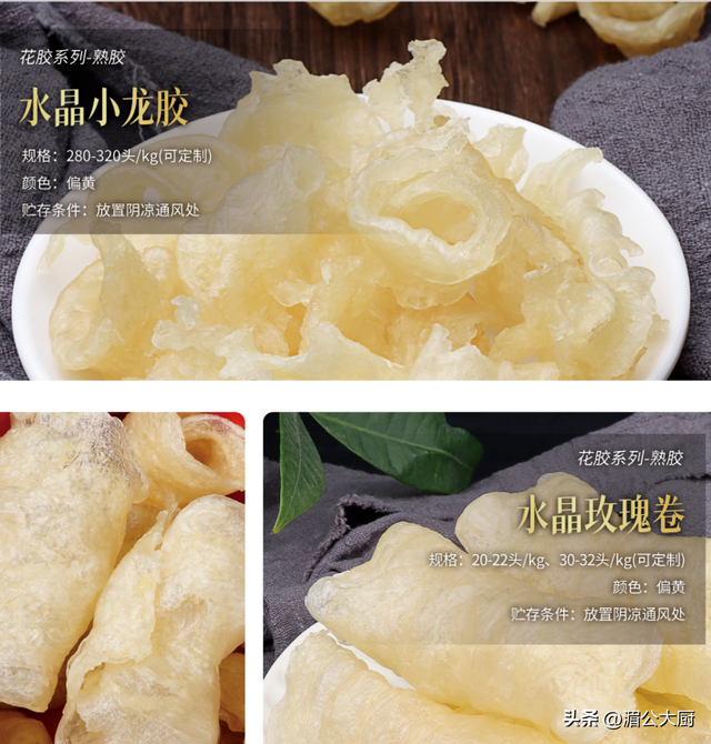 小龙胶是什么鱼 2026年小龙胶是什么鱼类 小龙胶是什么鱼 2026年小龙胶是什么鱼类