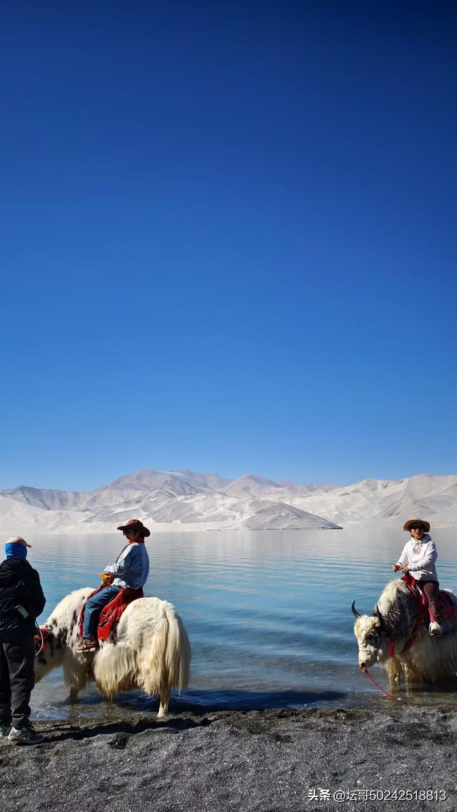 人生旅途，遇光即美