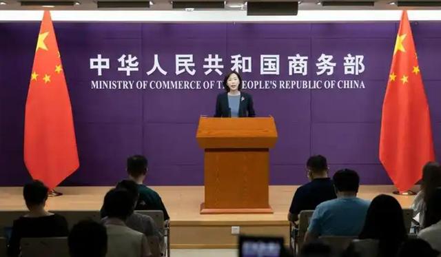 中国两天重锤4国，背刺没好下场！美专家：中国将是下一个领导者