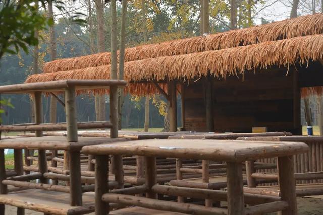 即将正式营业！金堂又将新增一处游玩打卡地！