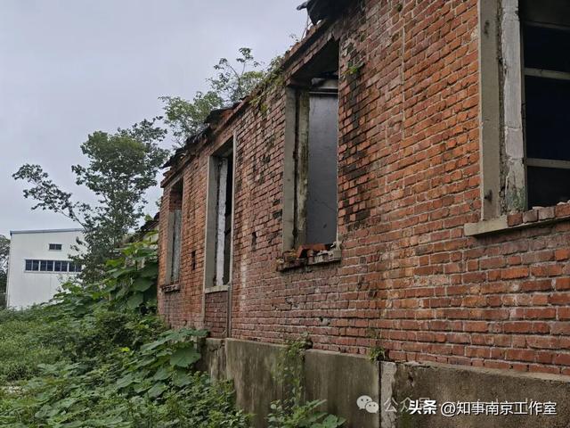 「转载」隐匿在南京老山的生化残城