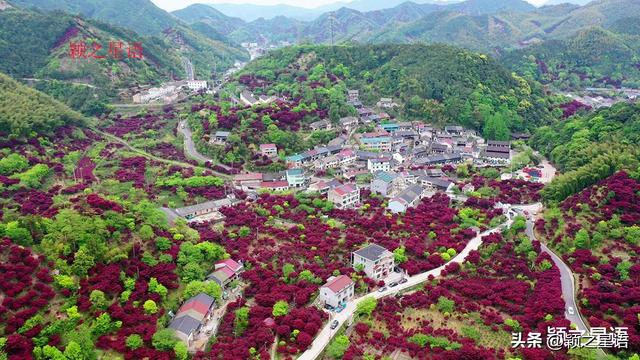 四明山脉的精华，四明山镇，全域皆风景