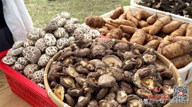 2025郧阳区文旅消费季盛大启幕 文化盛宴点燃夏日活力