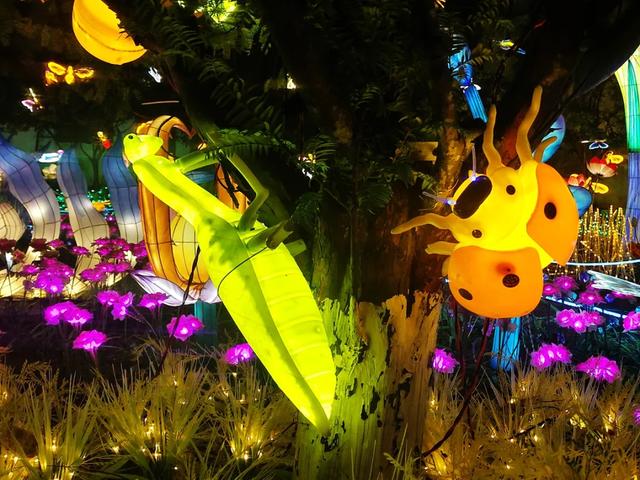 桂林：首届非遗千灯游园，光影艺术璀璨盛宴！