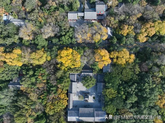 公园景区秋色图鉴，这几处必打卡