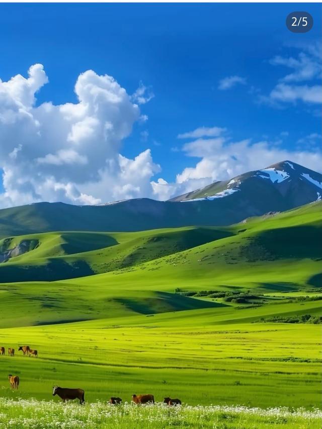 岁月的分水岭，回望是青春的余光，瞻是暮年的微光。