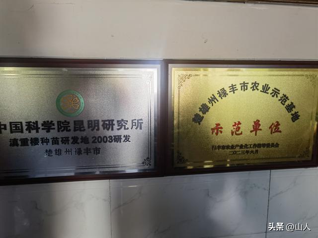 昆明→禄丰——滇西骑行散记之一