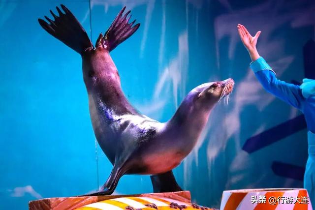 太冷不想多吹风？跟着大连这条地铁线，一路吃喝玩乐逛起来