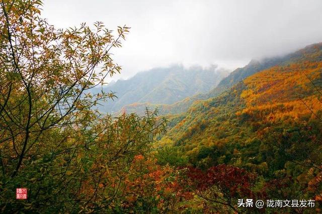 醉美文县：秋色斑斓大岭梁