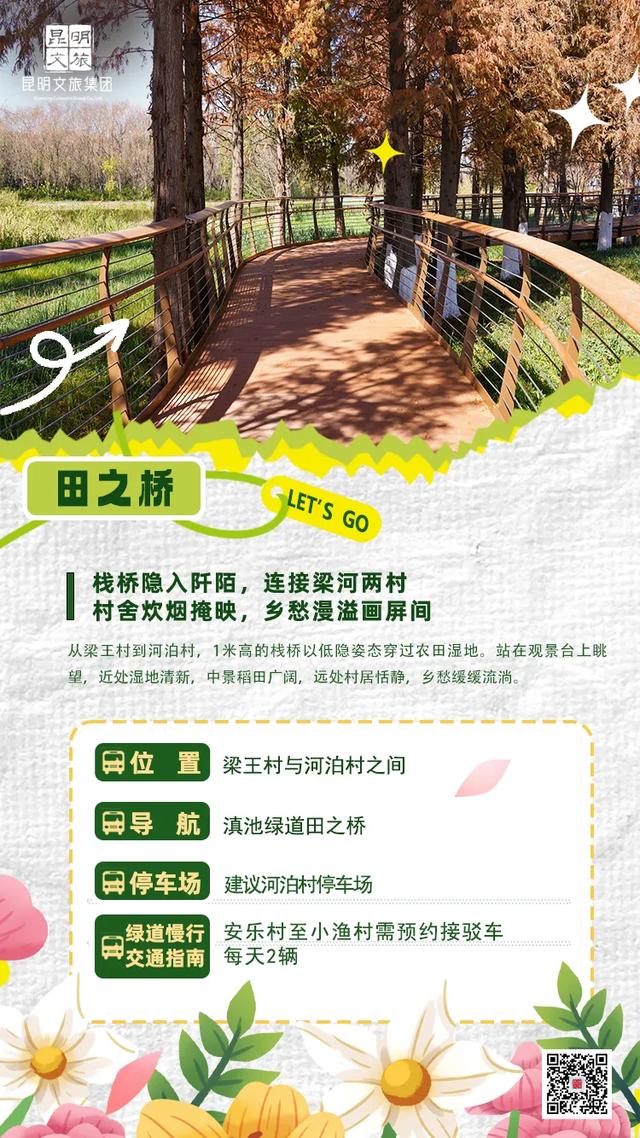 “人在画中游”！昆明这个湿地公园成“全民健身”热门打卡地