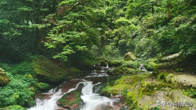 画中游：张家界金鞭溪大峡谷的仙境漫步