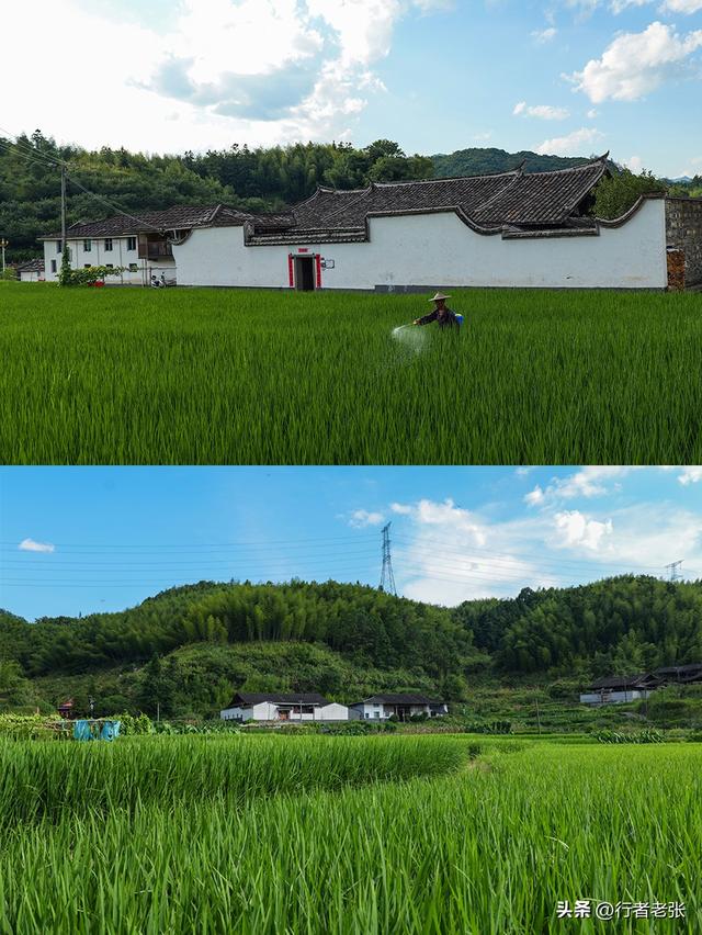走遍福建古村落，罗宁古道上的八百年古村，藏在坑里叫“深坑”